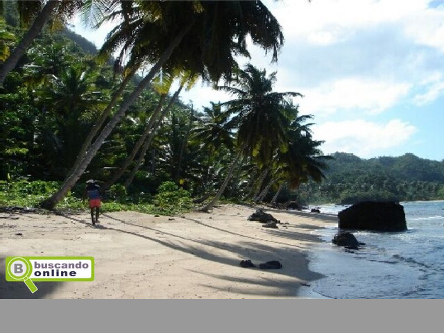 Amplios Terrenos Lineales A La Playa En Punta Cana, Bavaro, Miches, Terr