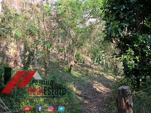 venta de finca en niquinohomo-masaya