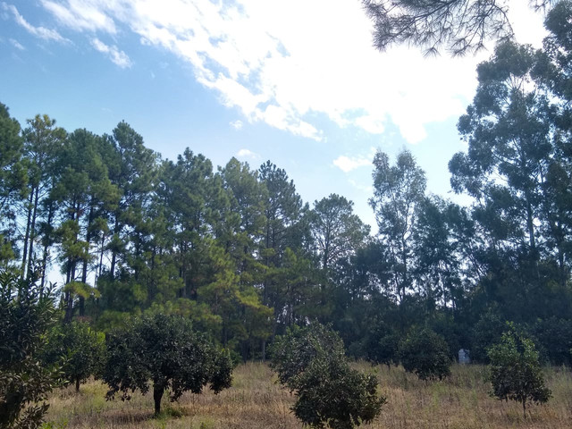 Terreno En Nogoyá . 3500 m²