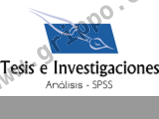 Asesor de Tesis e Investigación. Trabajos de graduación.