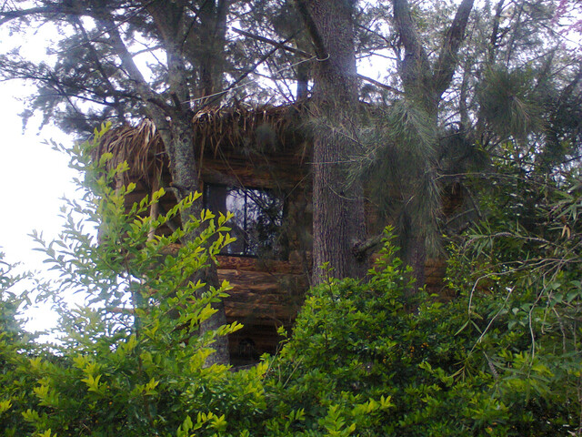 CASAS CAMPESTRES EN ARRIENDO (casa en los árboles)