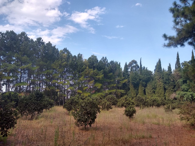 Terreno En Nogoyá . 3500 m²