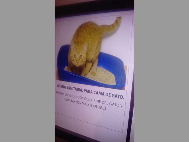 Arena para cama de gato aditivada