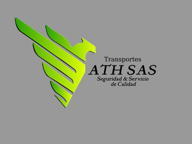 Servicio de Transporte Especial
