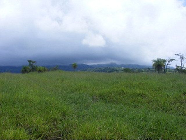 Se vende Finca de 145 Hectáreas en Liberia