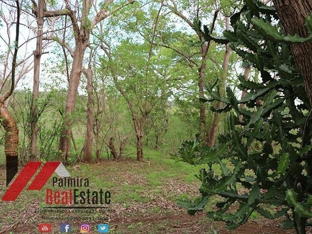 venta de finca de 10 manzanas en masaya