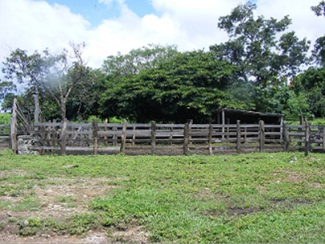 Se vende Finca de 145 Hectáreas en Liberia