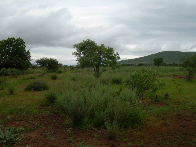 VENTA TERRENO URECHO, COLON, QUERETARO CI-049