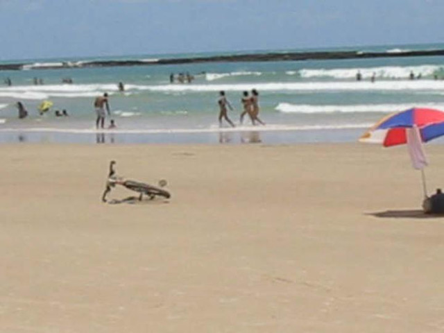 Apartamentos - Praia do Frances - LIt Sul Maceio - Alagoas (BR)