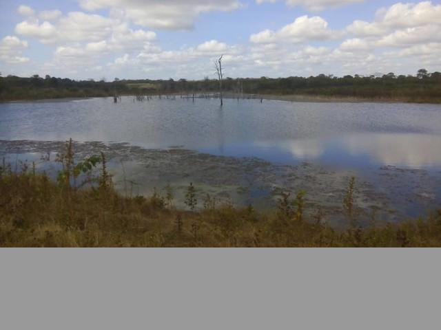 SE VENDE FINCA EN ALTAGRACIA ORITUCO