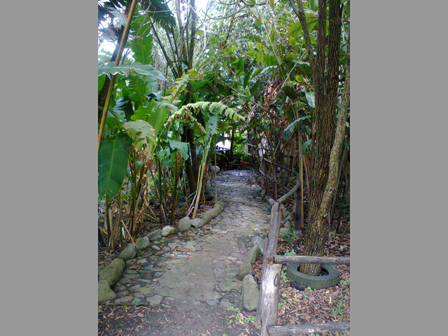Casas campestres en renta