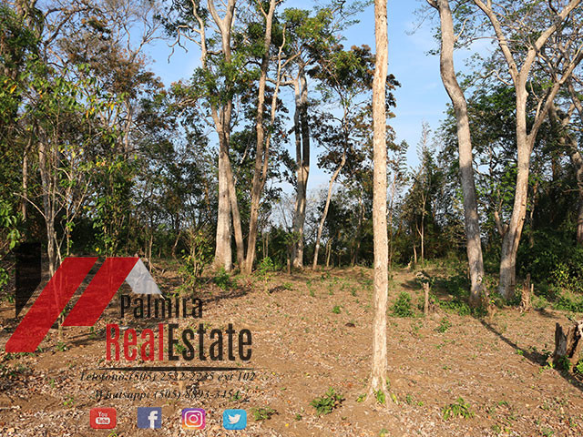 venta de finca en niquinohomo-masaya