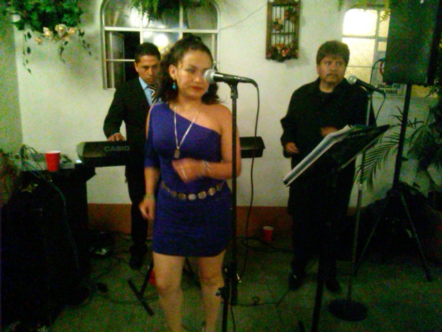 Teclado y Cantante en México