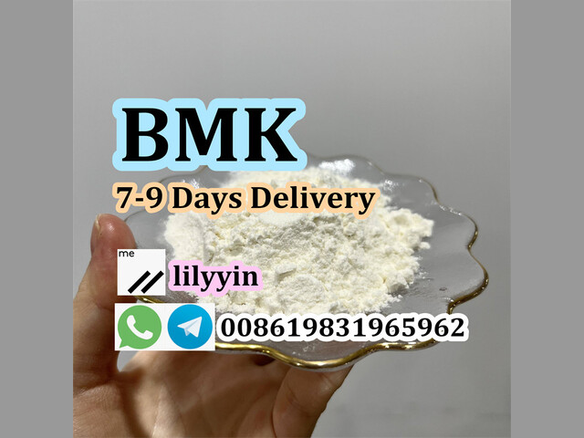 5449-12-7, BMK Powder, Bmk Glycidic Acid