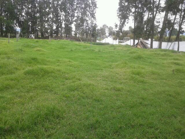 Vendo Terreno