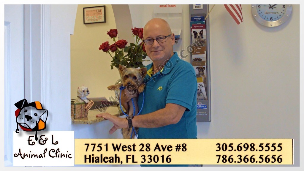 CLÍNICA VETERINARIA EN HIALEAH