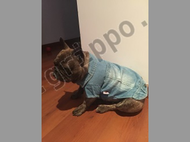 Ropa