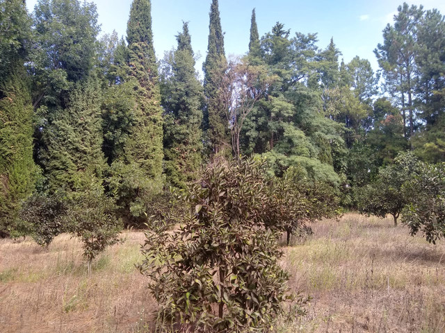 Terreno En Nogoyá . 3500 m²