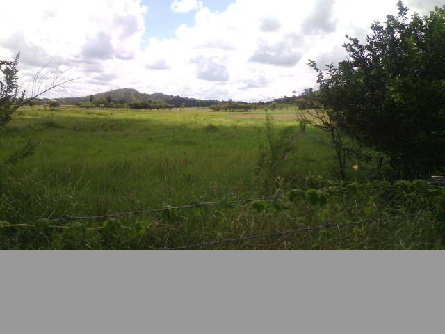 SE VENDE FINCA GUANARE Y BARINAS