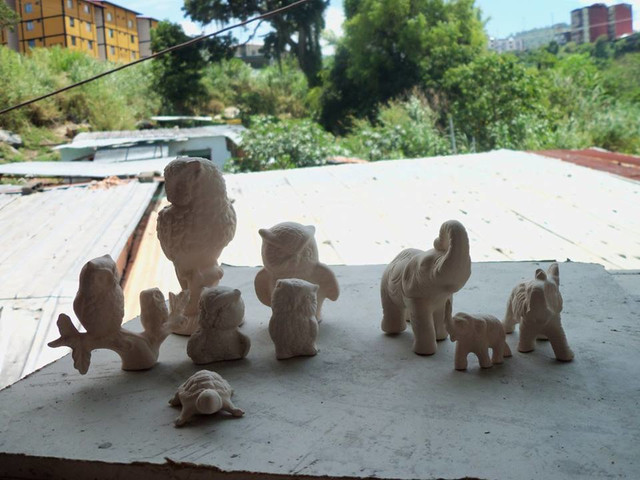 búhos elefantes tortugas