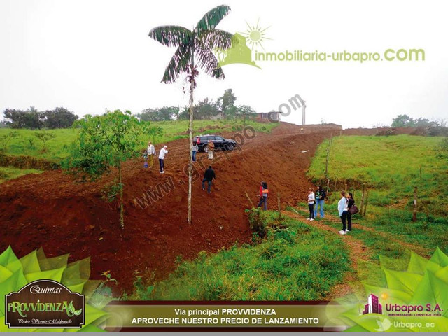 LOTE ECONOMICO EN AMBIENTE NATURAL
