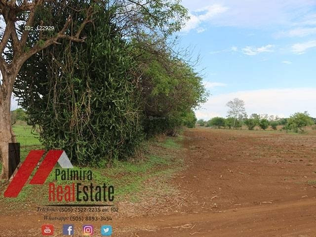 venta de finca de 10 manzanas en masaya