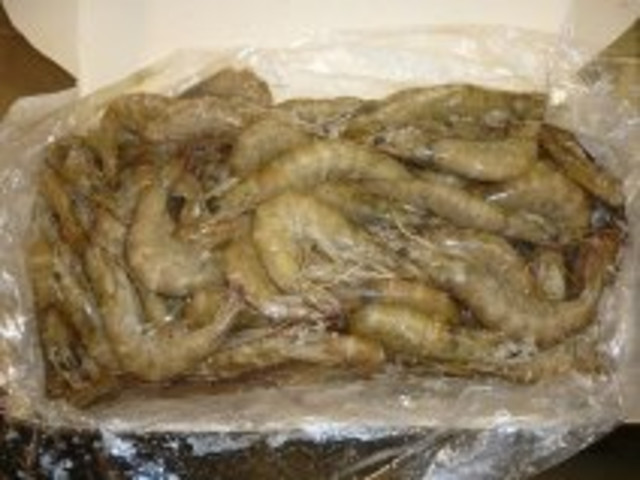 SE VENDE EMPRESA DE CAMARONES