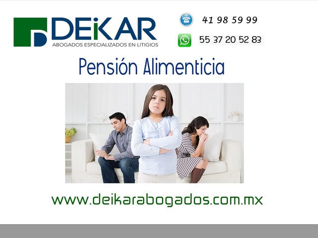 Pensión Alimenticia DF y Estado de México