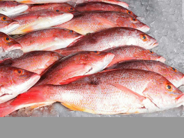 Se vende pescados en general y Buches Ecuador